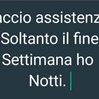 Uomo badante/assistente disponibile