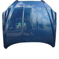 COFANO ANTERIORE JAGUAR XF Serie (08>11)