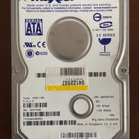 Hard Disk Maxtor 250 GB