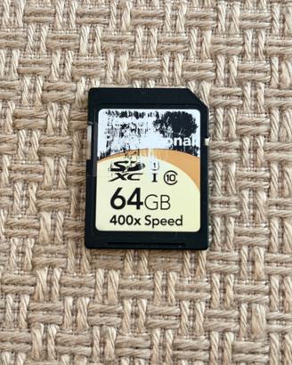 Scheda di memoria Lexar Professional SD 64GB 400x