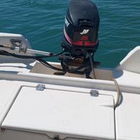 Quicksilver 440 fish
