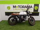 mutt-akita-250