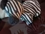 Immagine 4