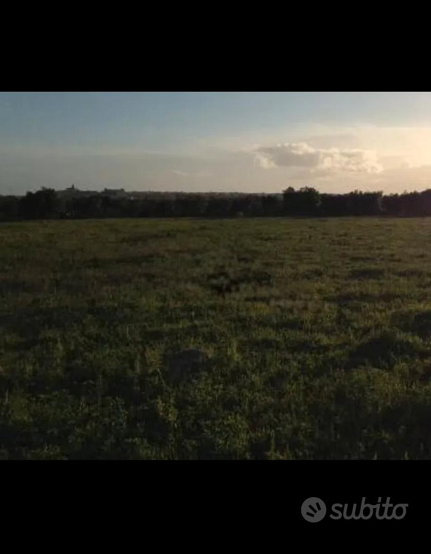 Terreno agricolo-seminativo - Vista 3