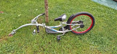 Cammellino bici per bambini – appendice bici