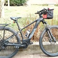 Bici elettrica 