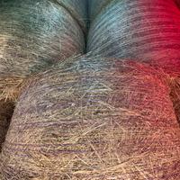 Fieno di avena e loietto