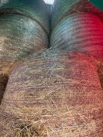 Fieno di avena e loietto