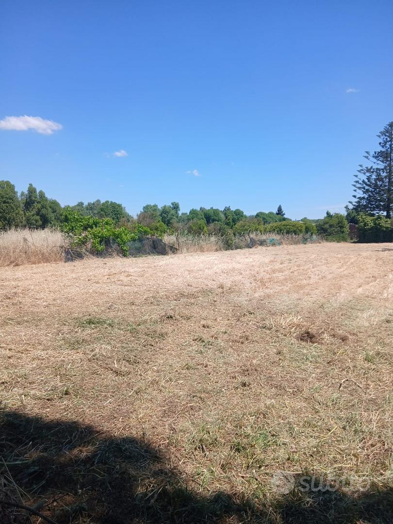 Terreno agricolo - Vista 2