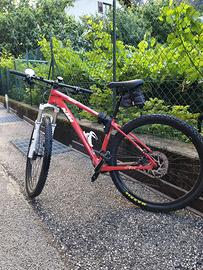 🚴♂️ Bicicletta MTB