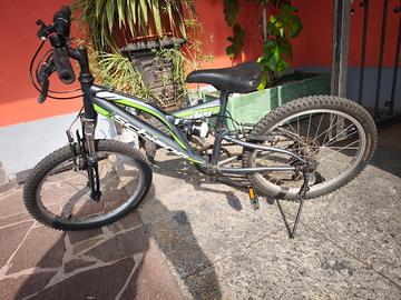 mtb 20"