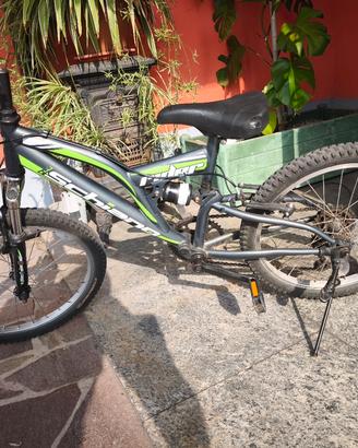 mtb 20"