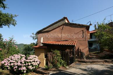 CL209 - Palazzo Del Pero in campagna posiz