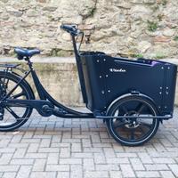 Cargo Bike Curvy  250W