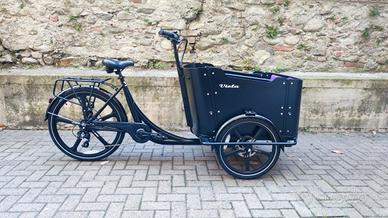 Cargo Bike Curvy  250W