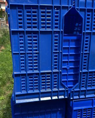 Cassette plastica raccolta frutta