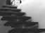 Immagine 9