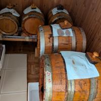 Set botti aceto balsamico 