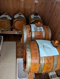 Set botti aceto balsamico 