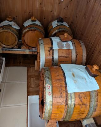 Set botti aceto balsamico 