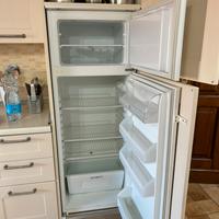 Frigo Rex da incasso