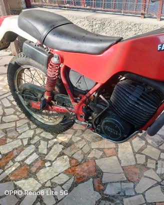 fantic motor 250