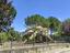 Immagine 16