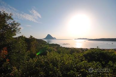 Vista mozzafiato 8 posti letto 450 m spiaggia