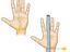Immagine 11
