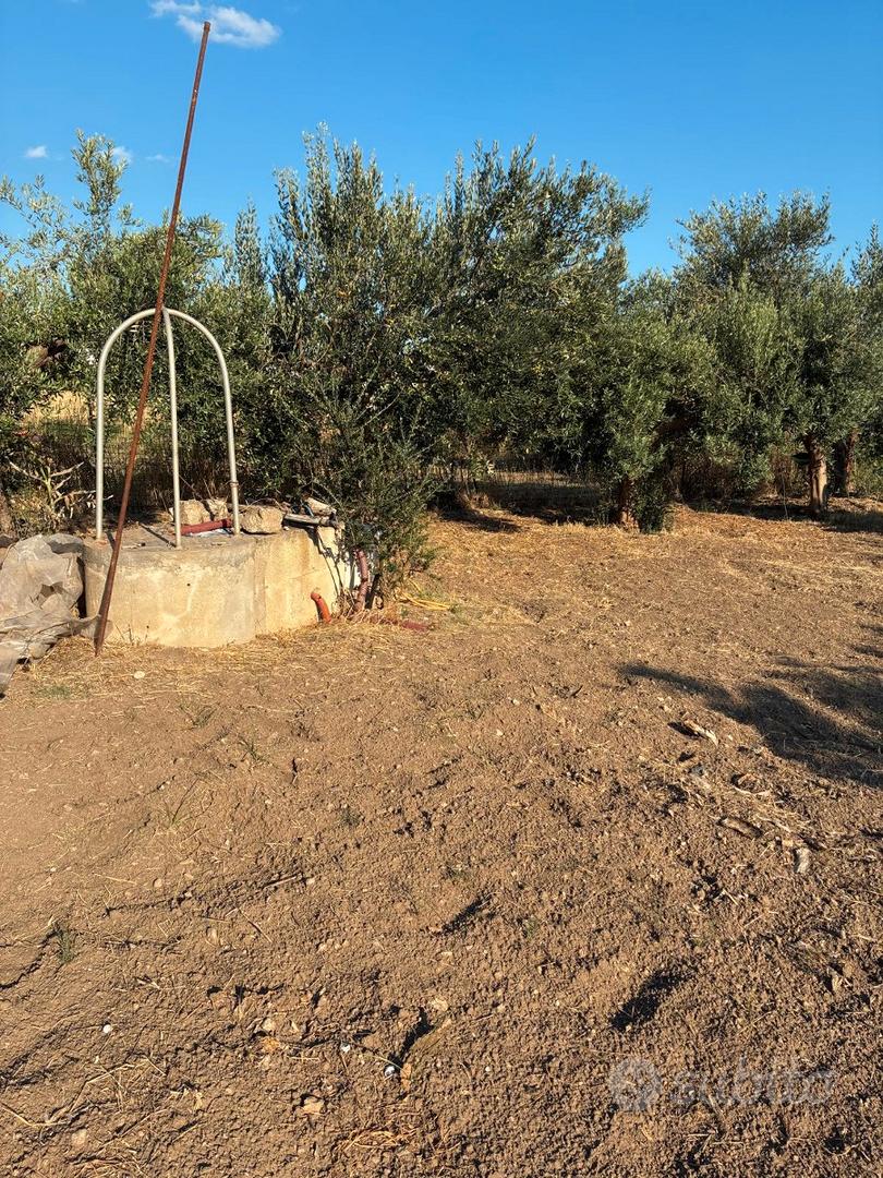 Terreno agricolo a 400 mt dal mare - Vista 3