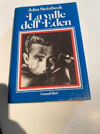“La valle dell’Eden “ Romanzo