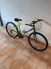 bicicletta 35€