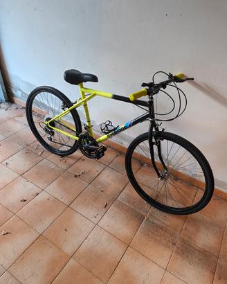 bicicletta 35€