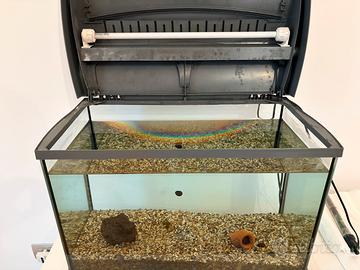 Acquario Tetra 60 litri