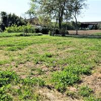 PIOMBINO DESE LOC. LEVADA - TERRENO EDIFICABILE DI