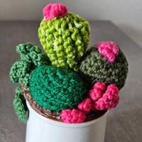 vasetto in ceramica con piantine all'uncinetto 1