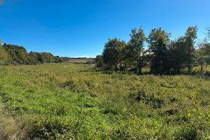 Terreno fabbricabile