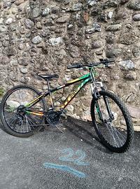 Bicicletta