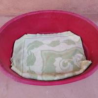 Cuccie per Animali a poco 