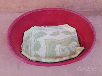 Cuccie per Animali a poco 