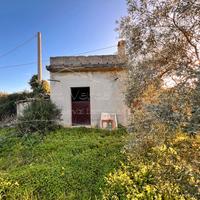Terreno con ricovero attrezzi