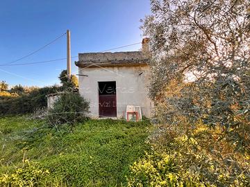 Terreno con ricovero attrezzi