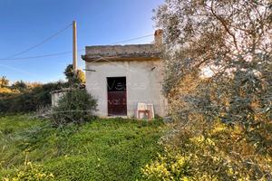 Terreno con ricovero attrezzi