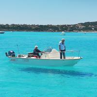 Boston Whaler 17