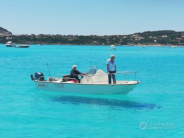 Boston Whaler 17