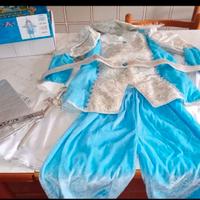 Vestito di carnevale Principe Azzurro Pegasus