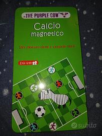 Gioco Calcio magnetico 