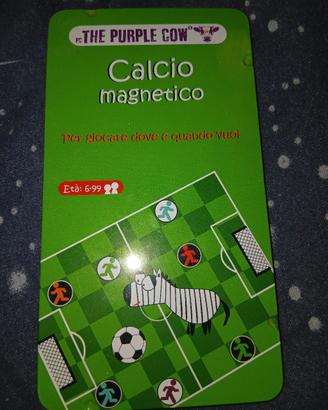 Gioco Calcio magnetico 