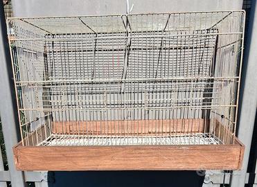 Gabbia  uccelli
