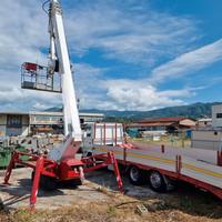 RAGNO PALAZZANI TSJ34 - USATO ANNO 2002